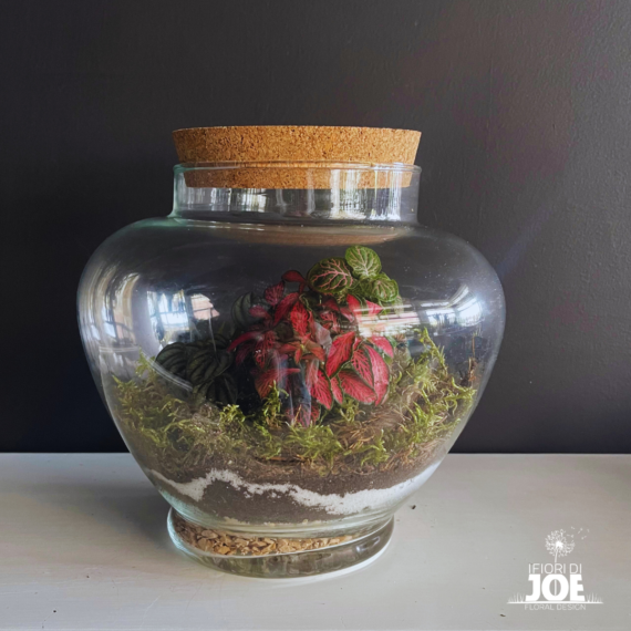 un terrario con piante e muschio all'interno